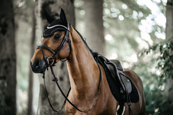Nauszniki klasyczne Kentucky Horsewear Wellington Stone & Pearl