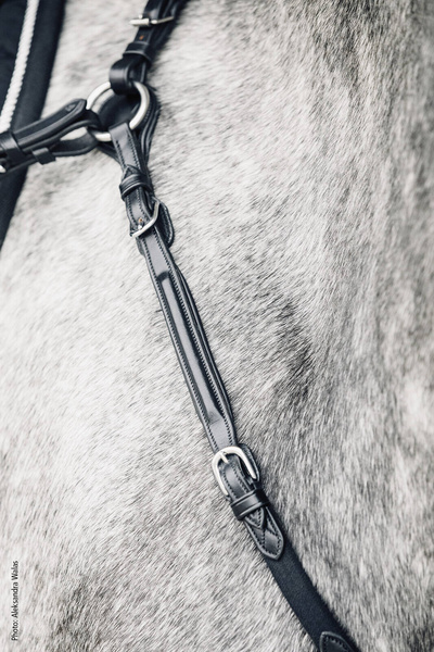 Napierśnik z wytokiem Schockemöhle Sports Sevilla Select