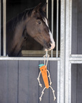 Zabawka do boksu QHP Horse Toy