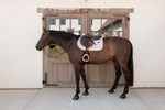 Czaprak wszechstronny Kentucky Horsewear Velvet Mini Pearls