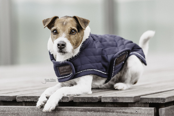 Derka dla psa Kentucky Dogwear Pearls