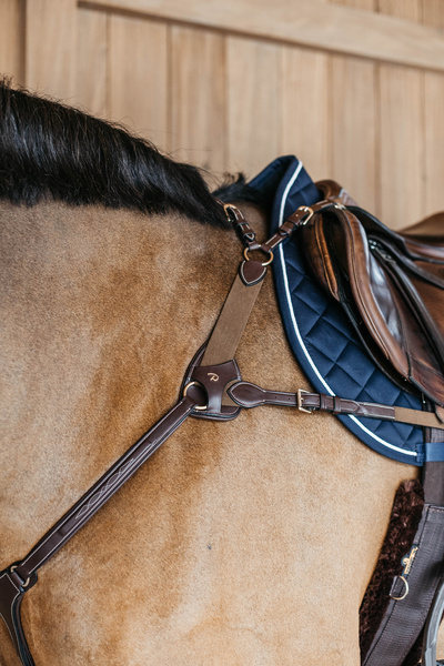 Napierśnik pięciopunktowy Dy'on D Collection DY06F