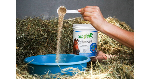 Aminokwasy i składniki mineralne Stiefel