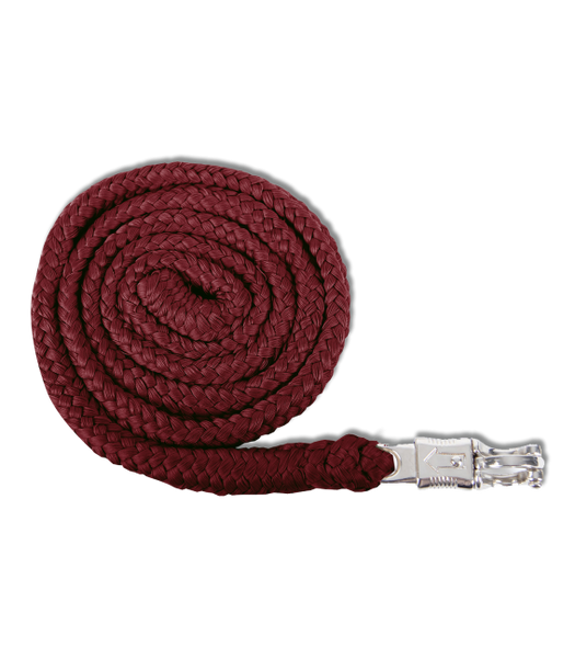 Uwiąz z bezpiecznym karabinkiem Waldhausen Economic