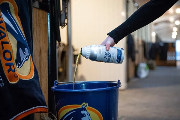 Suplement wspierający wytrzymałość koni sportowych Cavalor Peak Performance