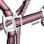 Kantar Kavalkade Shetty 