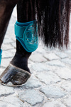 Ochraniacze tylne Kentucky Horsewear Young Horse TPU