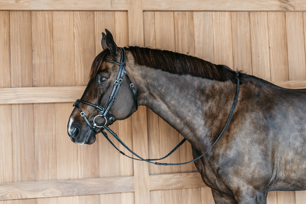 Ogłowie z nachrapnikiem kombinowanym Dy'on Working Collection Round WOARHY