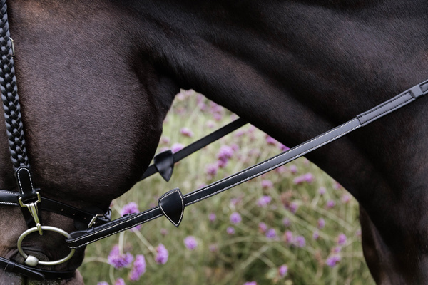 Wodze skórzane z ukrytymi stoperami Dy'on Working Collection WO05Y