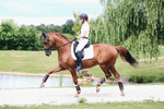 Ochraniacze ujeżdżeniowe z futrem Kentucky Horsewear Turnout Boots Leather - przody