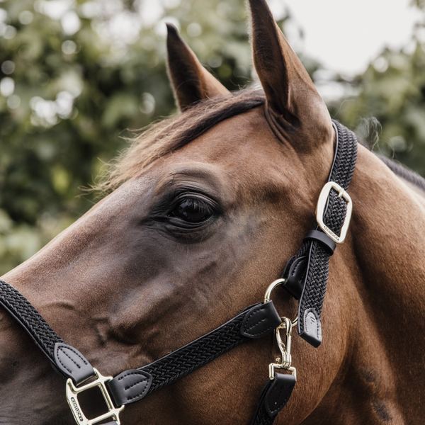Kantar dla konia Kentucky Horsewear Plaited Nylon