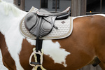 Czaprak wszechstronny Kentucky Horsewear Glitter Band