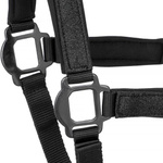 Kantar START Glitter