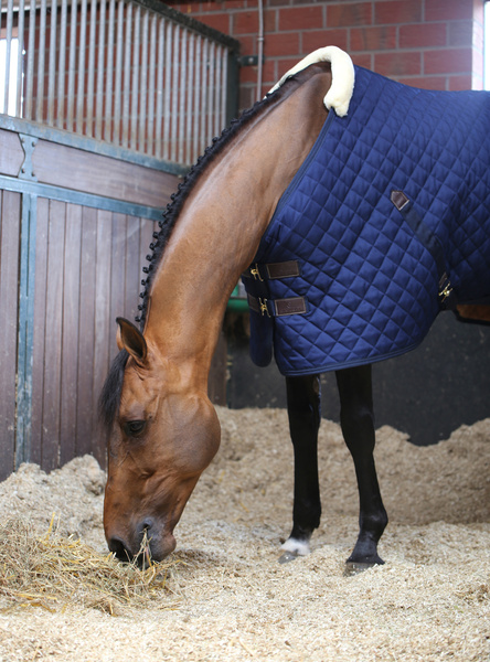 Derka stajenna Kentucky Horsewear - 200g