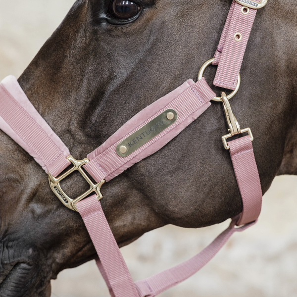 Kantar Kentucky Horsewear Velvet