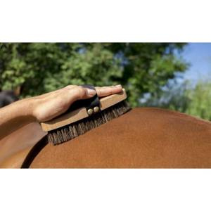 Szczotka HippoTonic Extra Soft Brush