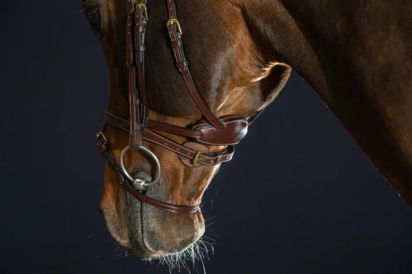 Ogłowie z cofniętą potylicą Dy'on D Collection Difference DYGXAU