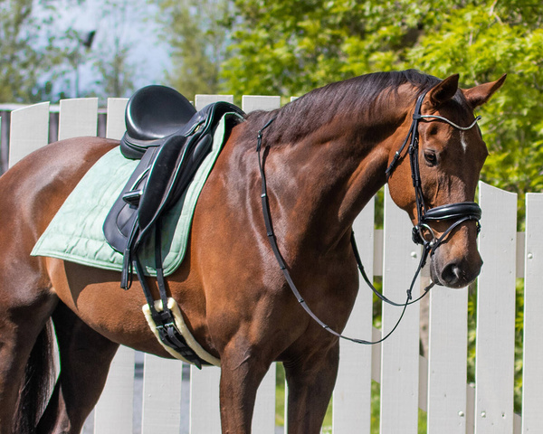 Pad ujeżdżeniowy QHP Anatomic