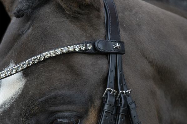 Ogłowie munsztukowe z nachrapnikiem szwedzkim Schockemöhle Sports Milazzo