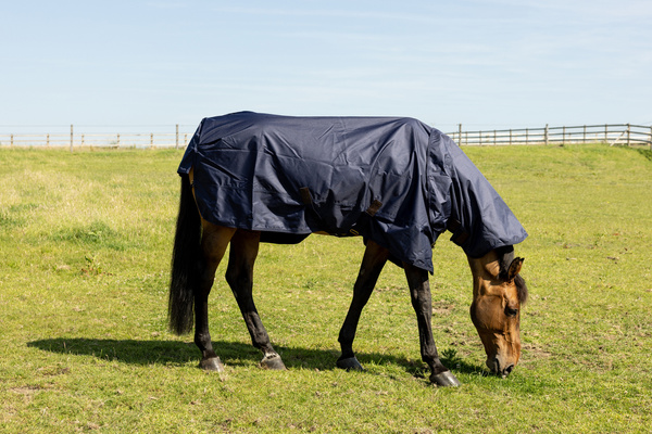 Derka padokowa Kentucky Horsewear All Weather Waterproof Classic 0g