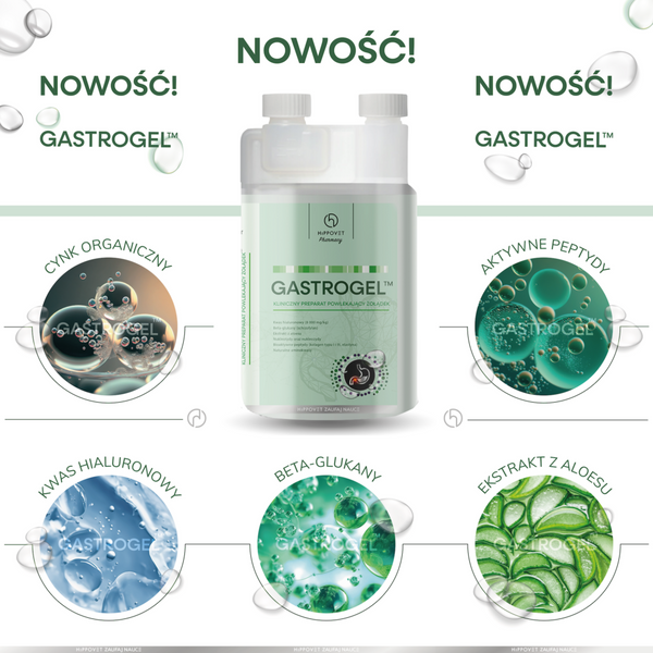 Suplement na wrzody w formie żelu Hippovet Pharmacy GASTROGEL