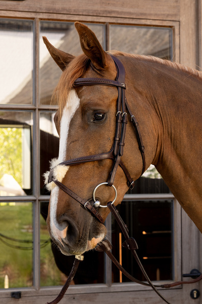 Ogłowie z nachrapnikiem meksykańskim Dy'on New EnglishCollection Plaited NEAOAV