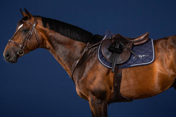 Napierśnik z mostkiem Dy'on US Collection US06D