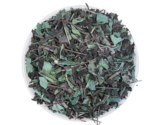 Jeżówka purpurowa EQUIHERBS