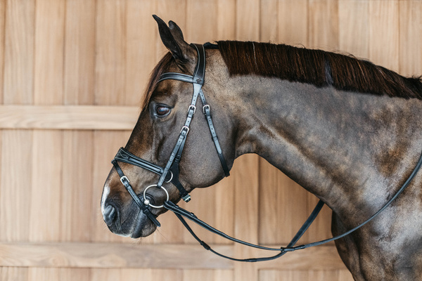 Ogłowie bezwędzidłowe 3w1 Dy'on Working Collection Motion WOCCCW