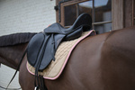 Czaprak ujeżdżeniowy Kentucky Horsewear Softshell Onion Quilt
