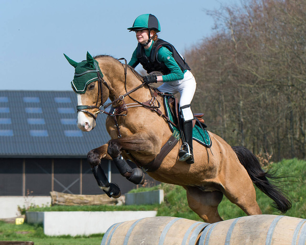 Czaprak wszechstronny QHP Eldorado