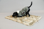 Legowisko dla psa Kentucky Dogwear Fuzzy Blanket To Go