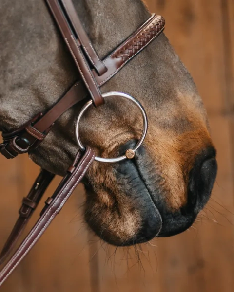Wędzidło zwykłe z dużymi kółkami FAGER Annika Sweet Gold - podwójnie łamane