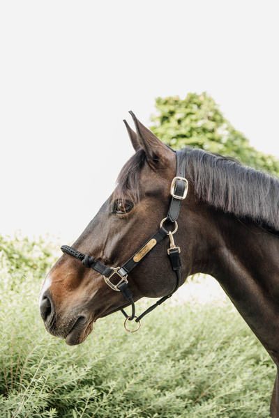 Kantar dla silnych koni Kentucky Horsewear Control Halter