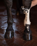 Papier do glinki chłodzącej Grooming Deluxe Horse Leg Clay Paper