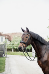 Nauszniki klasyczne Kentucky Horsewear Wellington Stone & Pearl