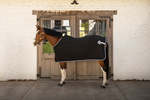 Derka osuszająca Kentucky Horsewear Show Vegan Wool
