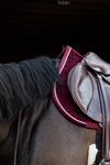 Czaprak wszechstronny Kentucky Horsewear Velvet