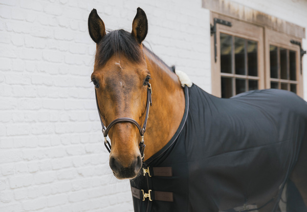 Derka siatkowa przeciw owadom Kentucky Horsewear Mesh Fly Sheet