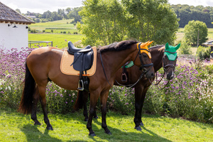Czaprak  ujeżdżeniowy Kentucky Horsewear Velvet Printing