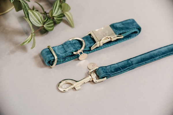 Smycz dla psa Kentucky Dogwear Velvet - 120 cm