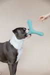 Zabawka dla psa Kentucky Dogwear Pastel Boomerang