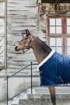 Derka stajenna Kentucky Horsewear Show Rug Velvet 160g
