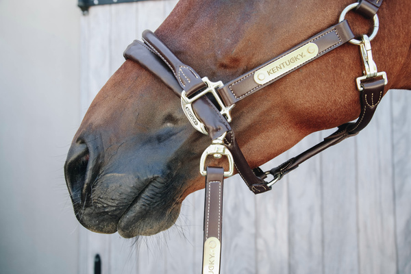 Uwiąz z łańcuszkiem pokrytym skórą syntetyczną Kentucky Horsewear Leather Covered Chain Lead