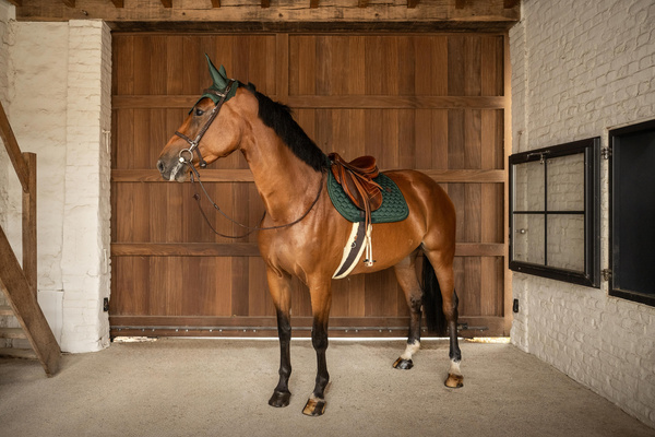 Czaprak wszechstronny Kentucky Horsewear Onion Plaited Glitter Rope