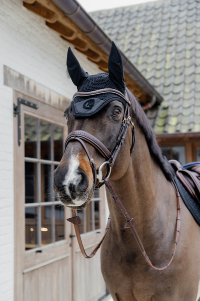 Ogłowie z nachrapnikiem szwedzkim kombinowanym z paskiem krzyżowym Dy'on D Collection Plaited DYAJAZ