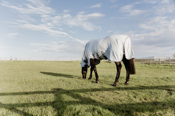 Derka siatkowa przeciw owadom z kapturem dla koni z egzemą Kentucky Horsewear Eczema Rug