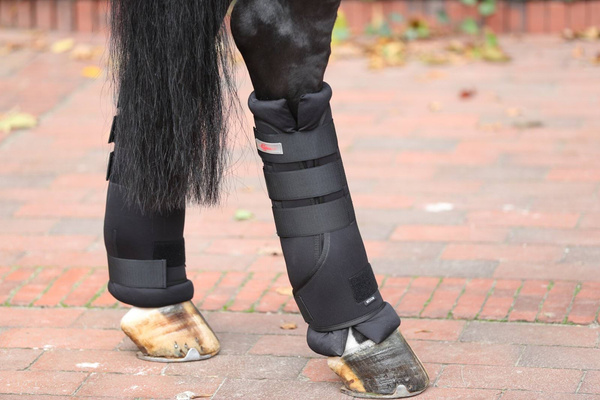 Ochraniacze stajenno-transportowe Covalliero