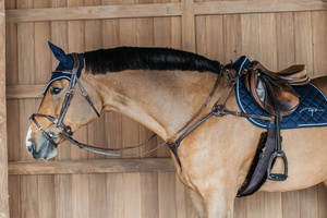 Napierśnik pięciopunktowy Dy'on D Collection DY06F