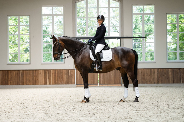 Frak damski Schockemöhle Sports Air Cool